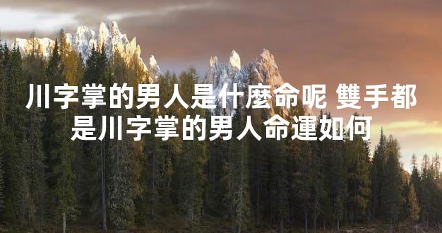 川字掌的男人是什麼命呢 雙手都是川字掌的男人命運如何